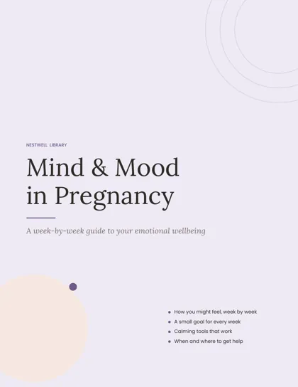 Mind & Mood in Pregnancy printable cover