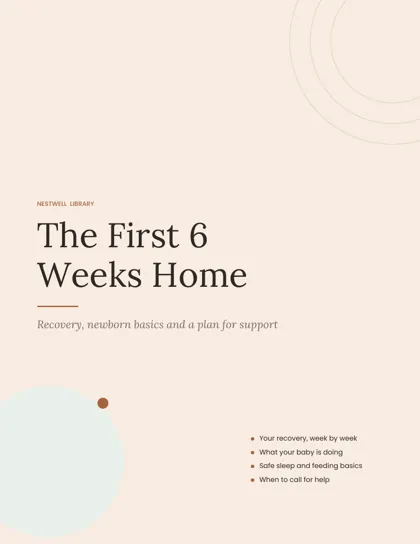 The First 6 Weeks Home postpartum planner cover